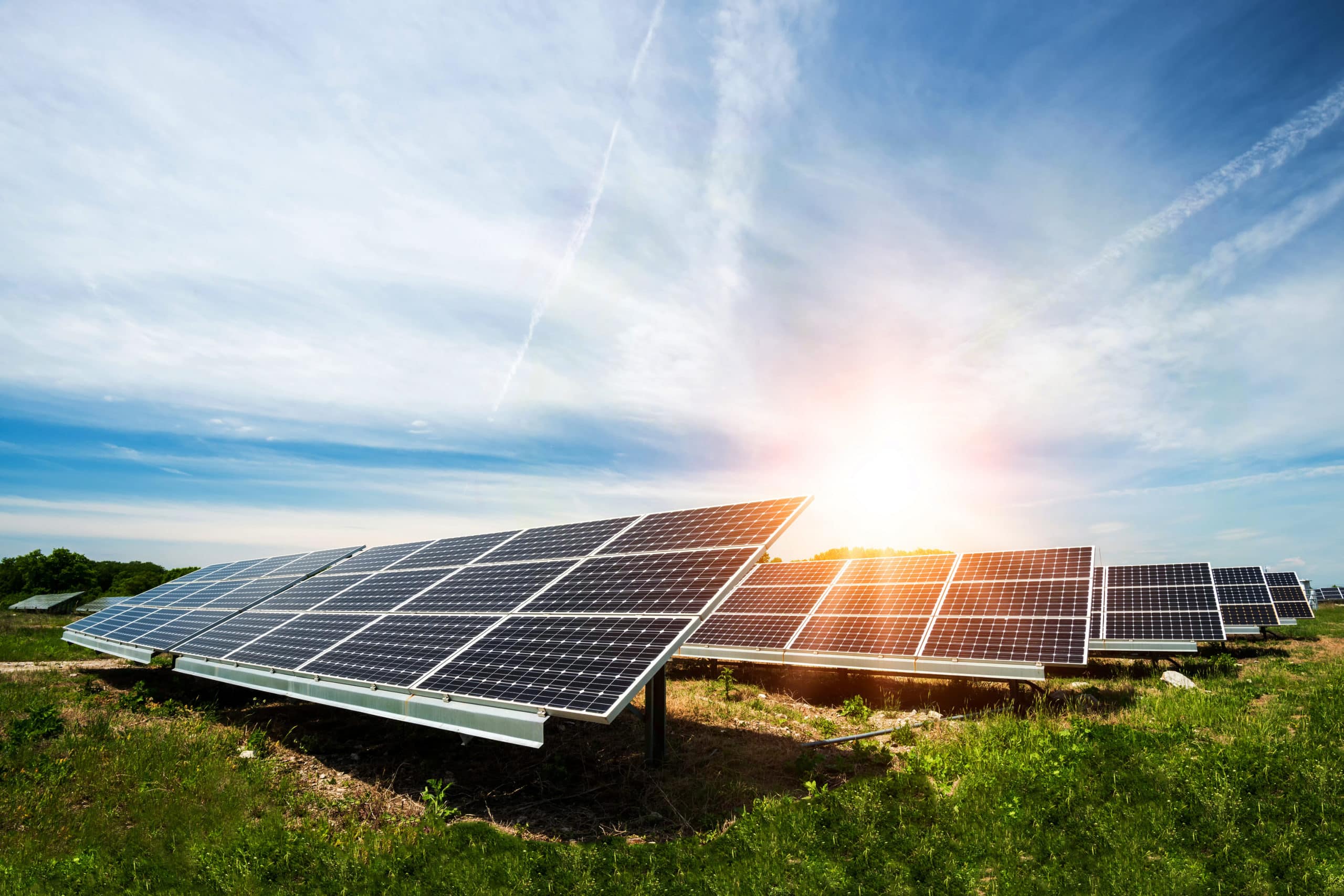 shutterstock_603025976 aufgestellte Solarpanel auf einer Wiese